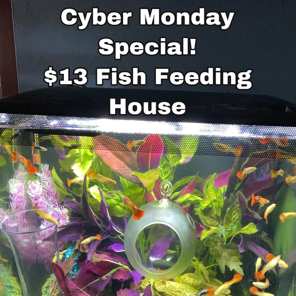 Fish feeding house. No more messy tanks